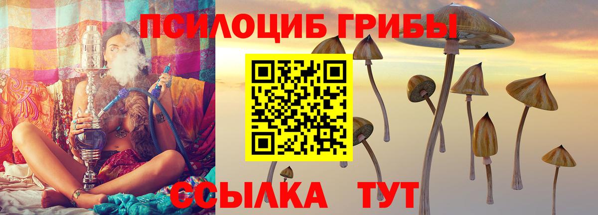 Галлюциногенные грибы Magic Shrooms Калач-на-Дону